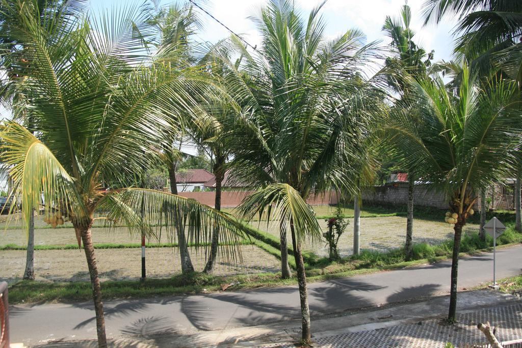 Gusti Rai House Hotel Ubud Eksteriør billede